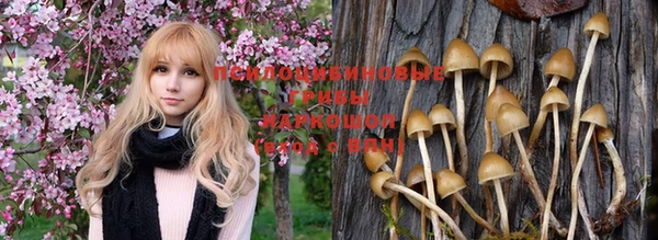 ALPHA PVP Михайлов