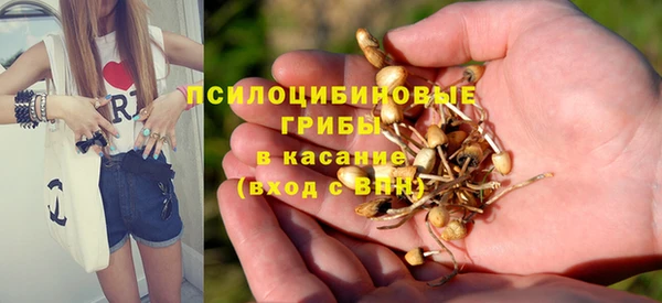 мескалин Михайловск