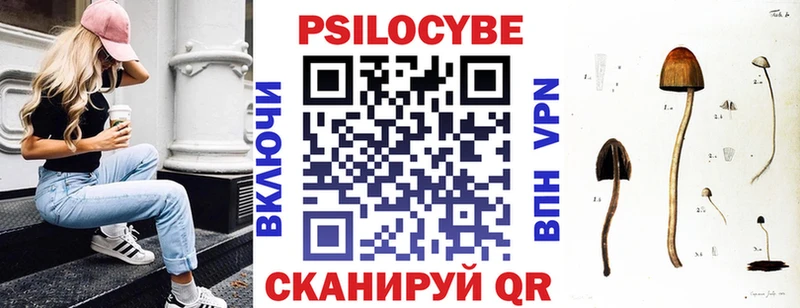 Псилоцибиновые грибы Psilocybine cubensis  Сызрань 